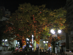 麻布十番の夜景